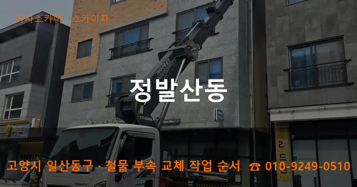고양 일산동구 정발산동 스카이차 작업