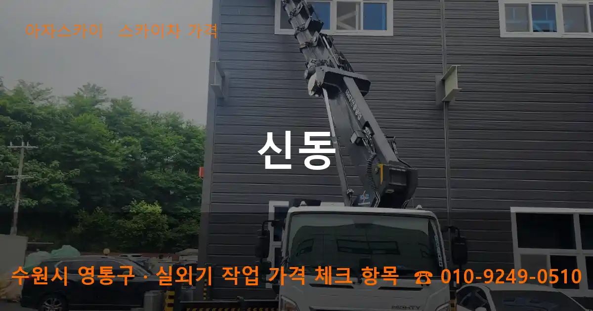 수원시 영통구 신동 스카이차 가격 작업