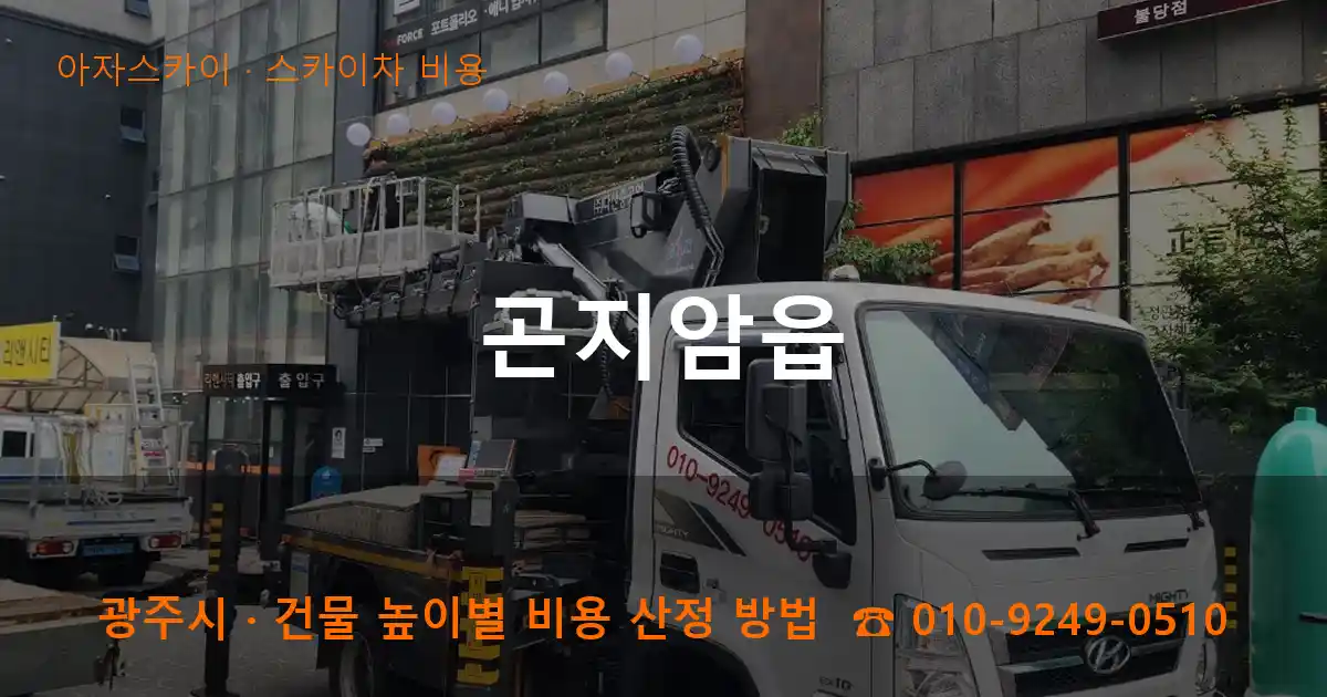 광주시 곤지암읍 스카이차 비용 작업