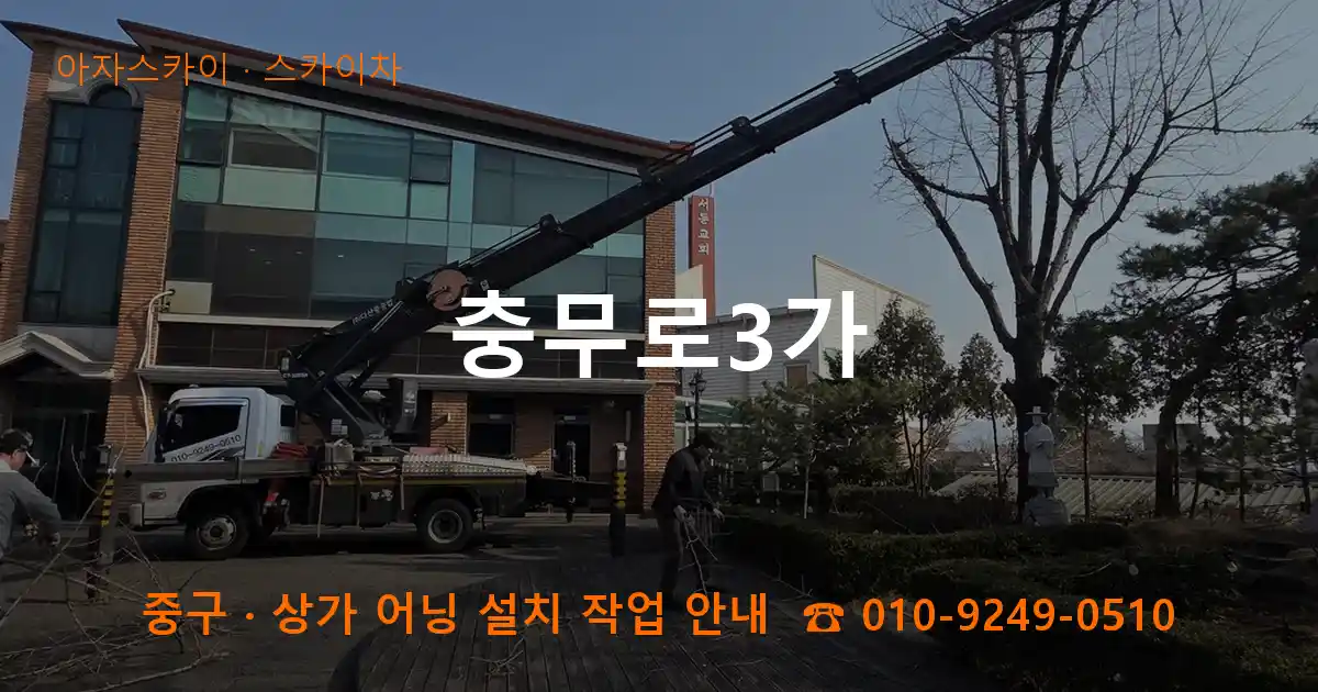 중구 충무로3가 스카이차 작업