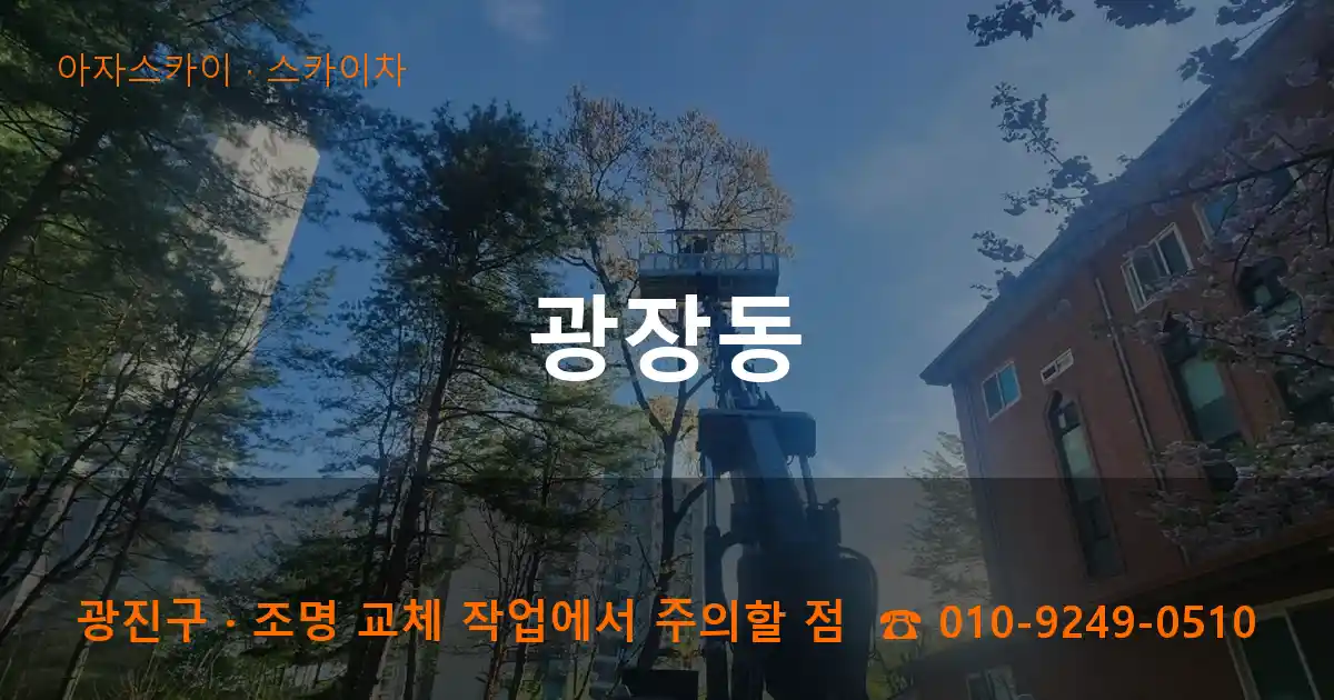 광진구 광장동 스카이차 작업