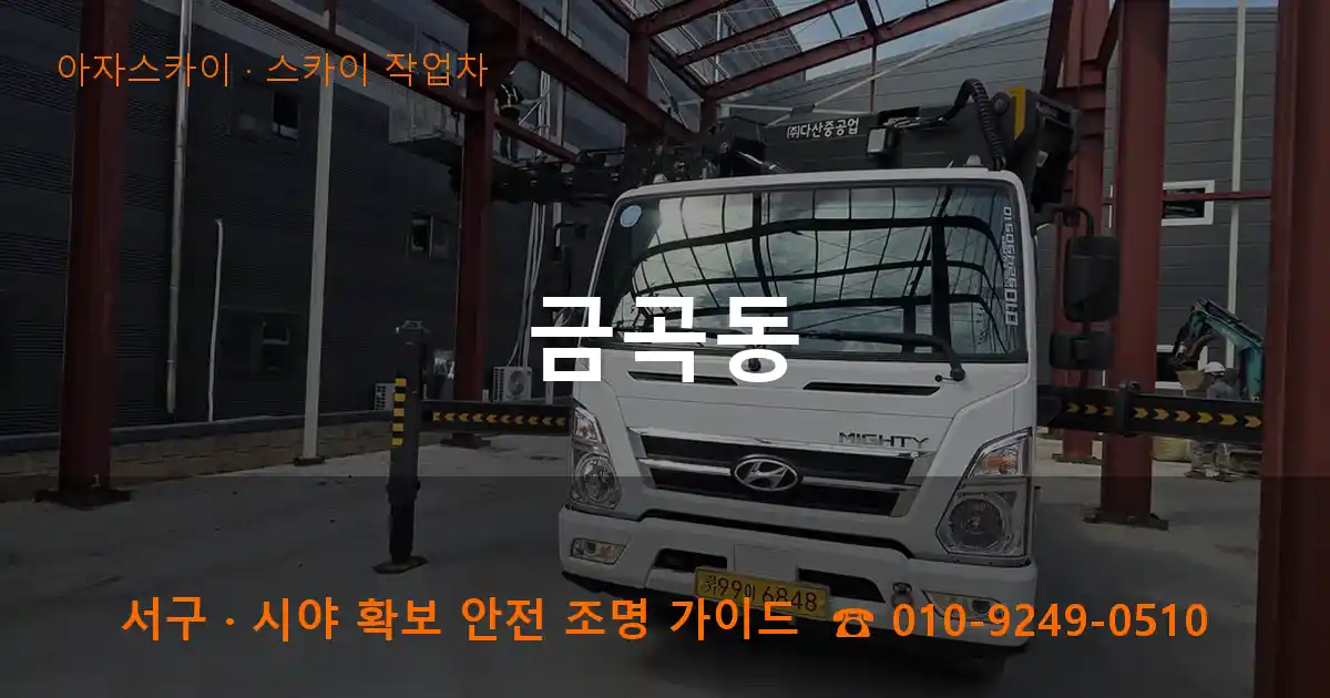 서구 금곡동 스카이 작업차 작업