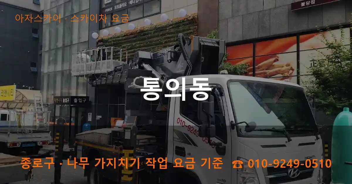 종로구 통의동 스카이차 요금 작업