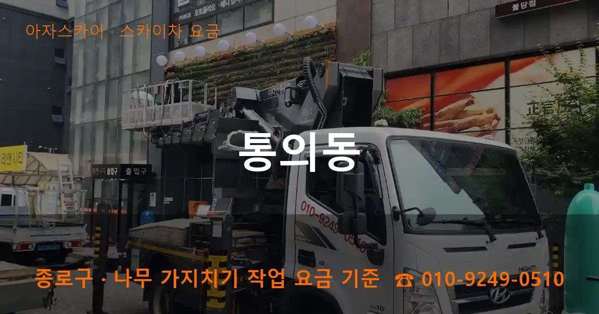 종로구 통의동 스카이차 요금 작업