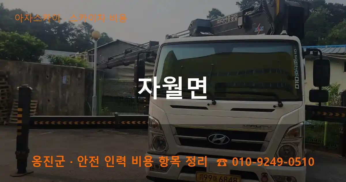 옹진군 자월면 스카이차 비용 작업