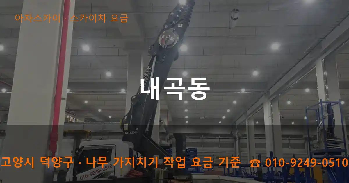 고양시 덕양구 내곡동 스카이차 요금 작업