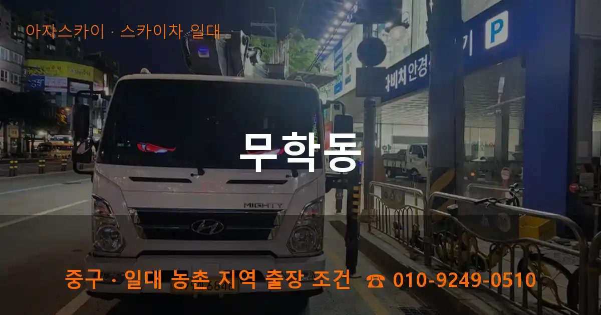 중구 무학동 스카이차 출장 작업