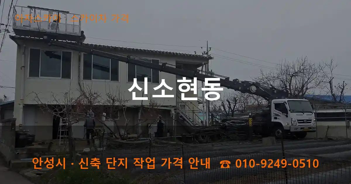 안성시 신소현동 스카이차 가격 작업