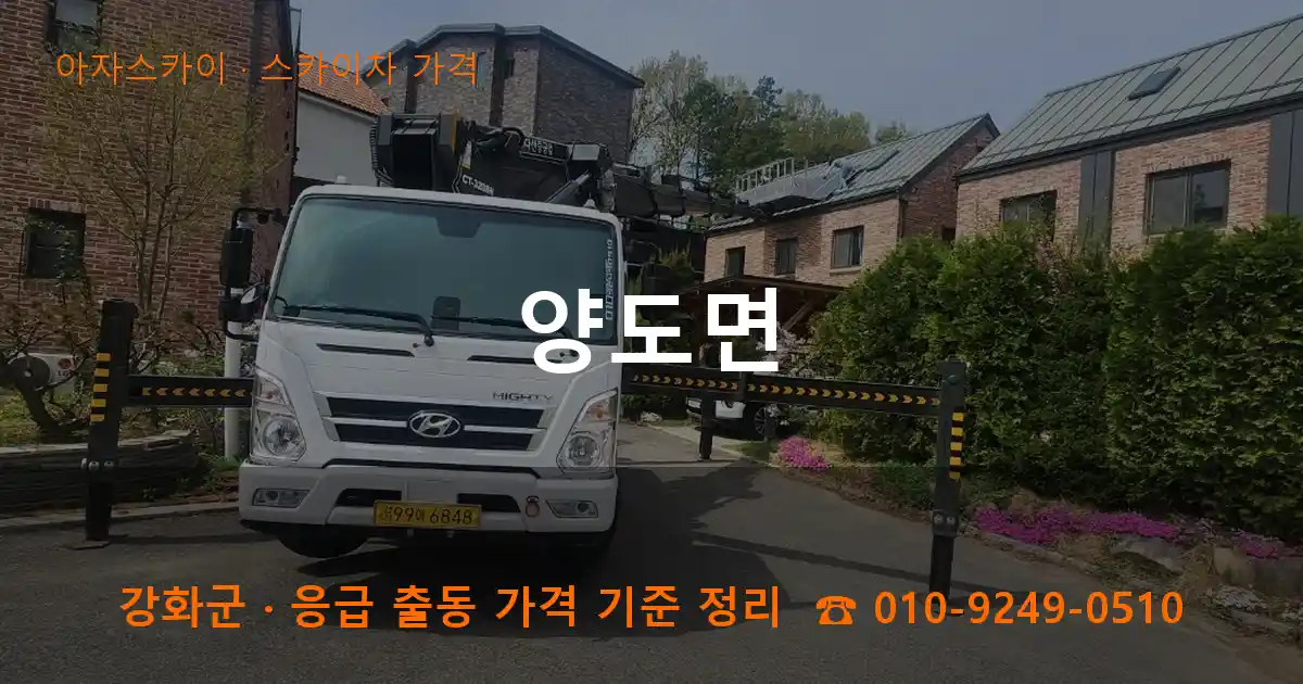 강화군 양도면 스카이차 가격 작업
