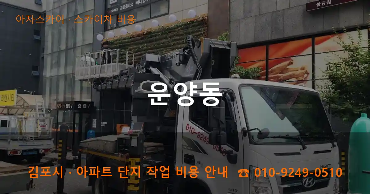 김포 운양동 스카이차 비용 작업