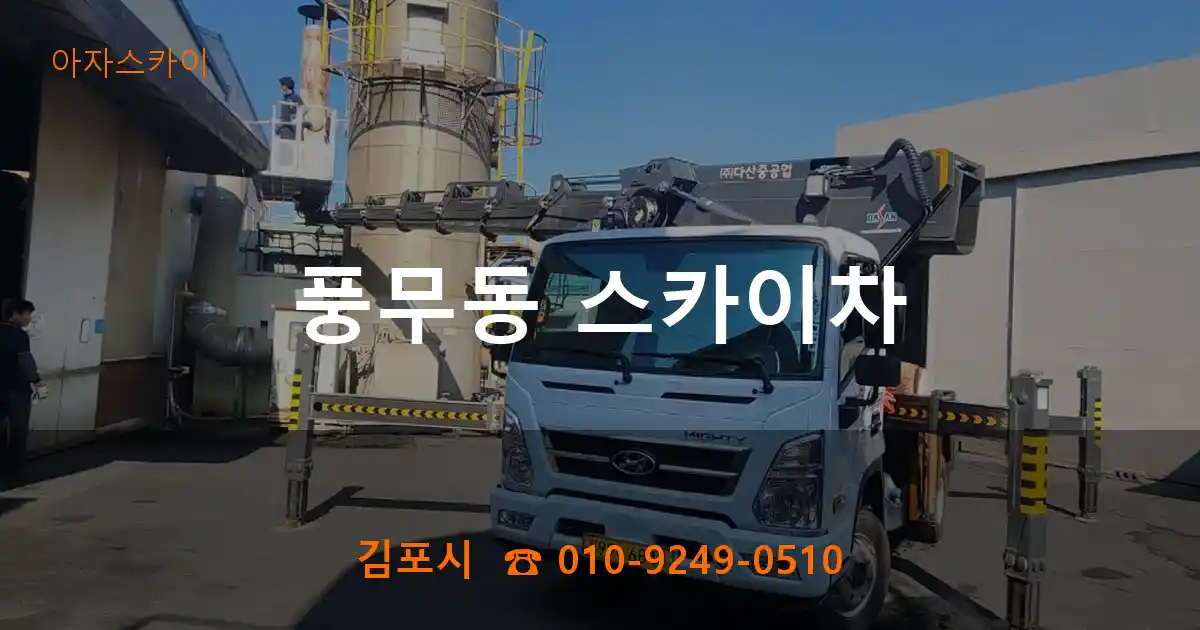 김포시 풍무동 스카이차