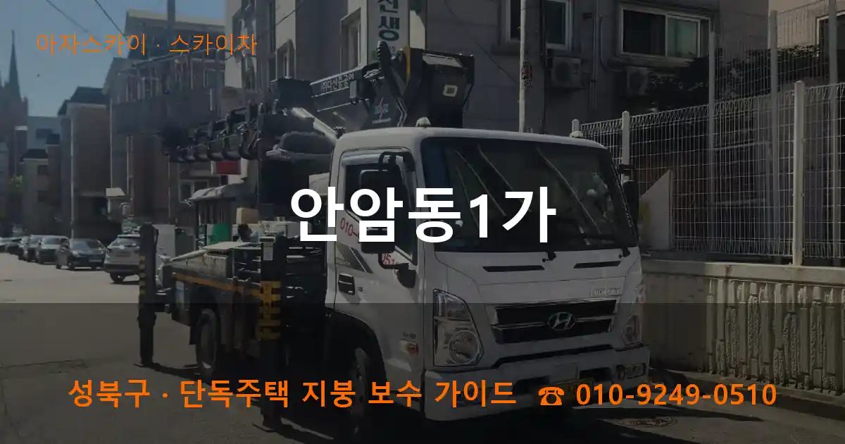 성북구 안암동1가 스카이차 작업