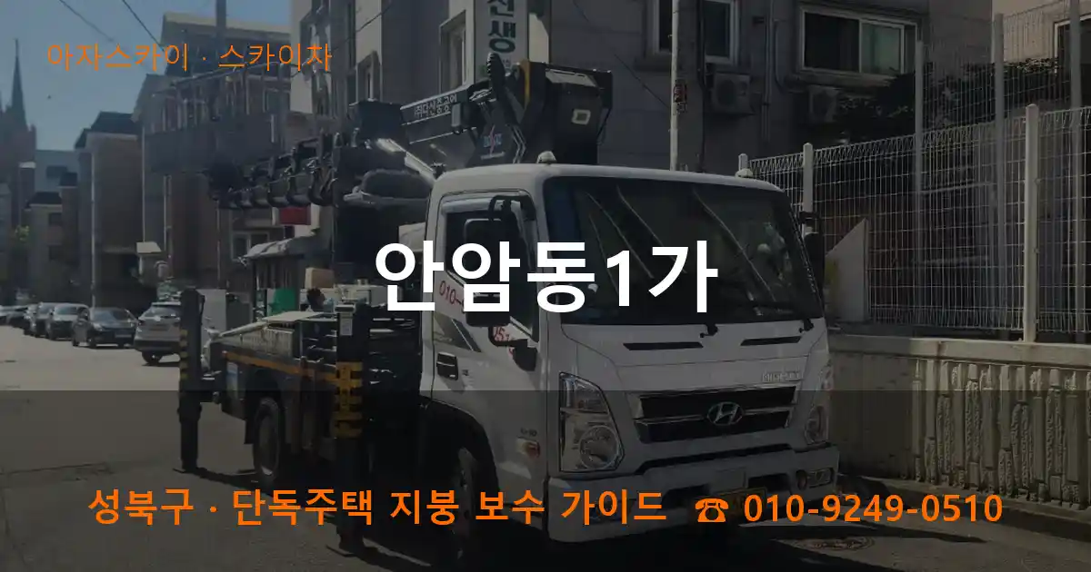 성북구 안암동1가 스카이차 작업