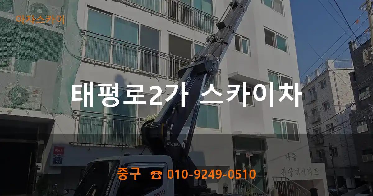 중구 태평로2가 스카이차