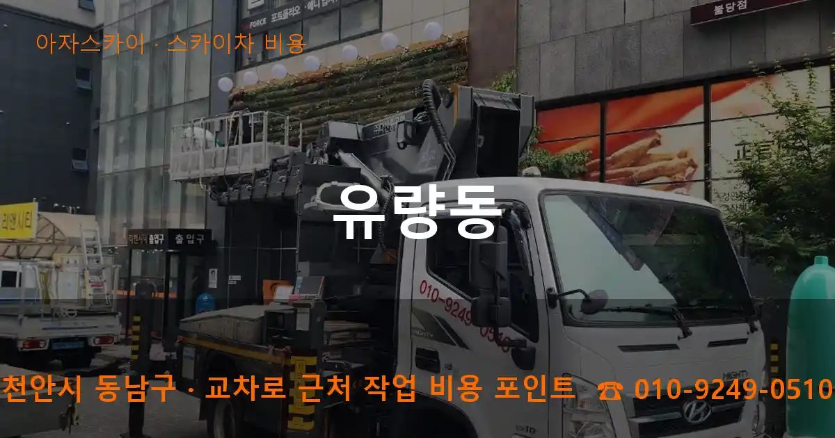 천안시 동남구 유량동 스카이차 비용 작업