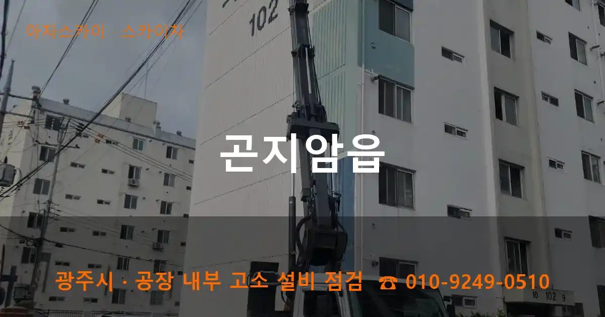 광주시 곤지암읍 스카이차 작업