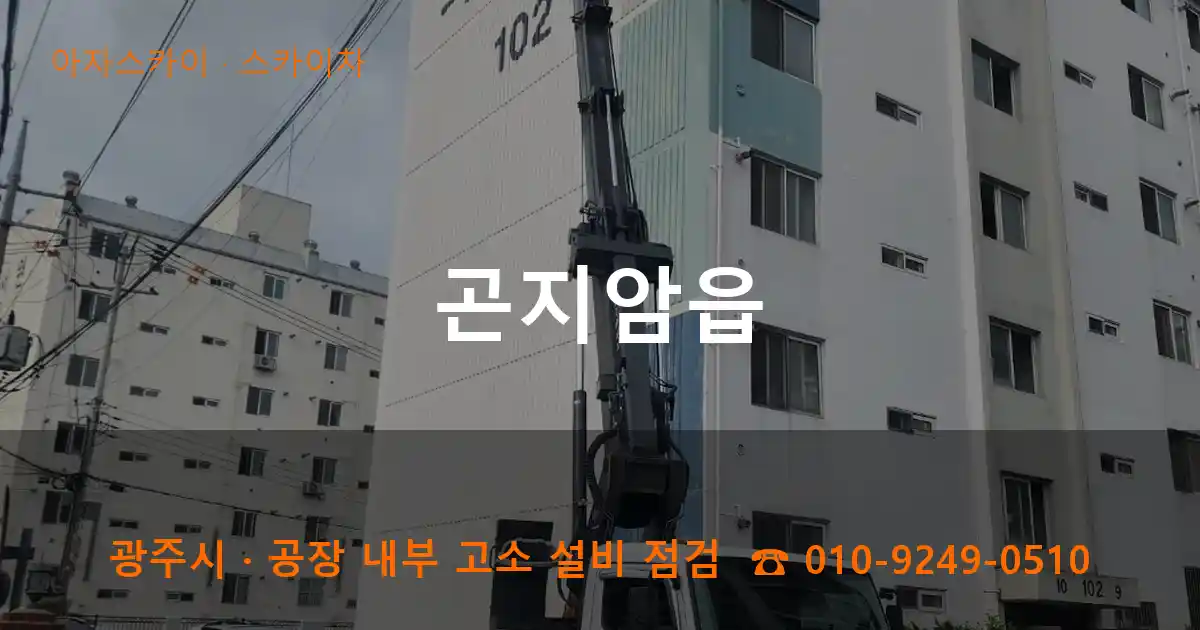 광주시 곤지암읍 스카이차 작업