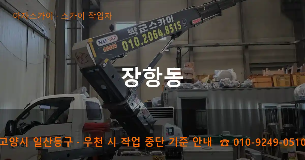 고양 일산동구 장항동 스카이 작업차 작업
