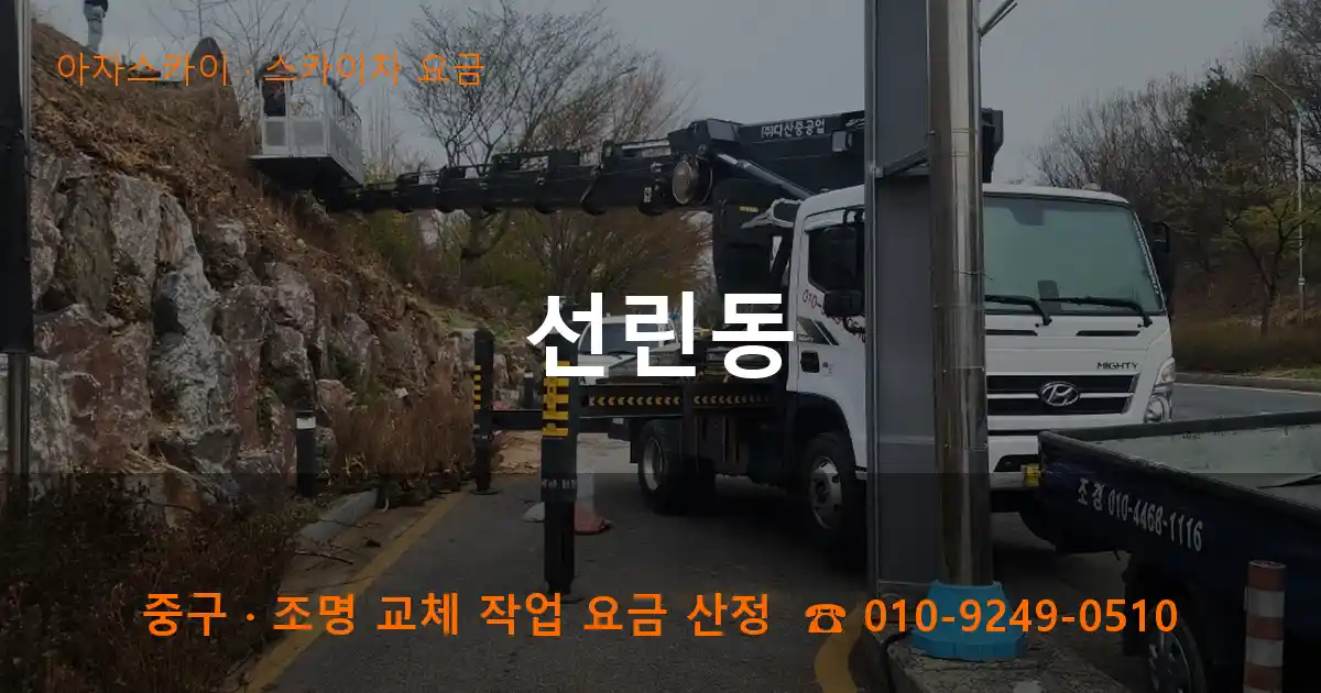 중구 선린동 스카이차 요금 작업