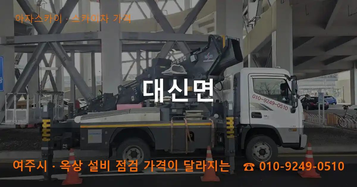 여주시 대신면 스카이차 가격 작업