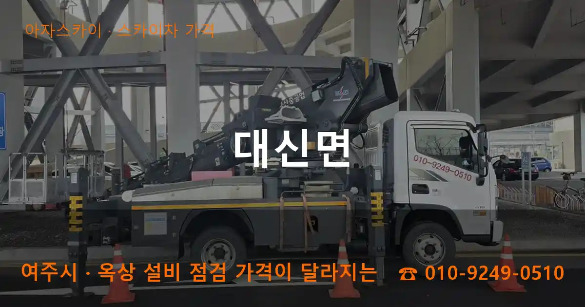 여주시 대신면 스카이차 가격 작업