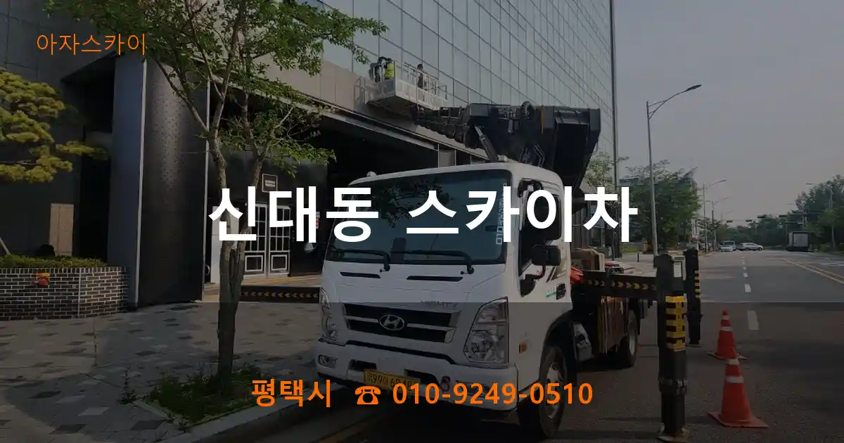 평택시 신대동 스카이차