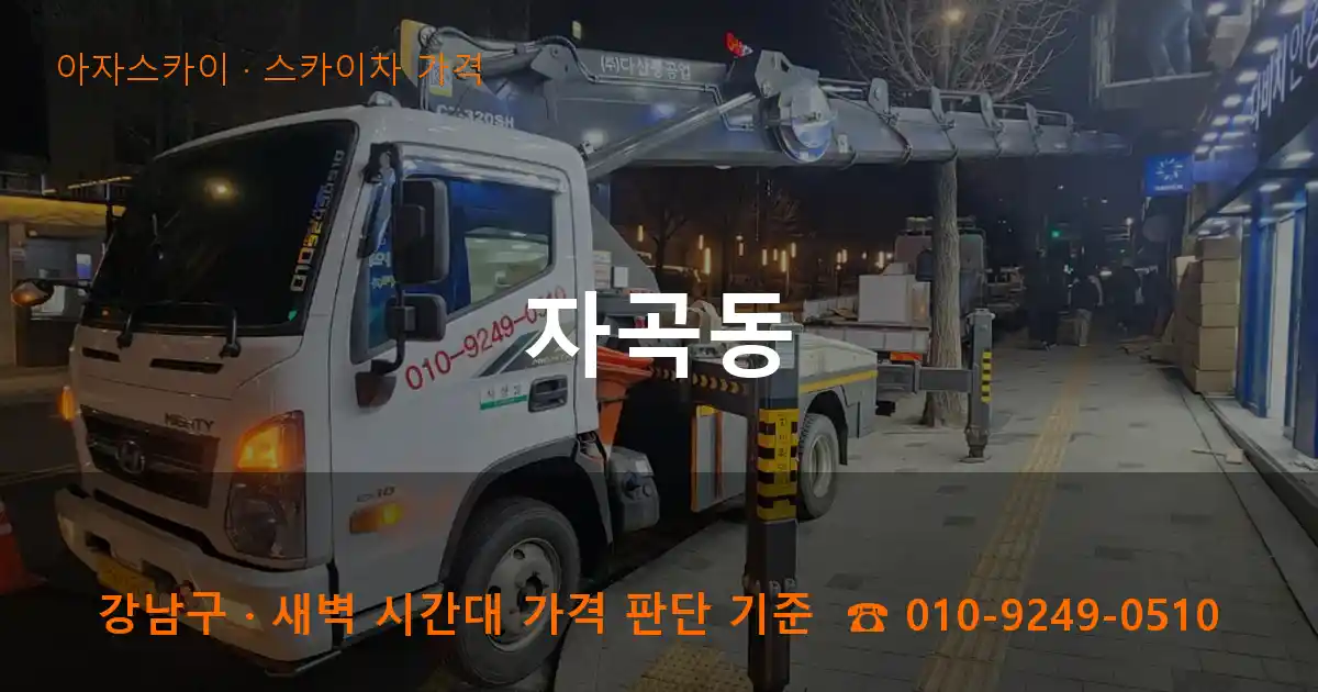 강남구 자곡동 스카이차 가격 작업