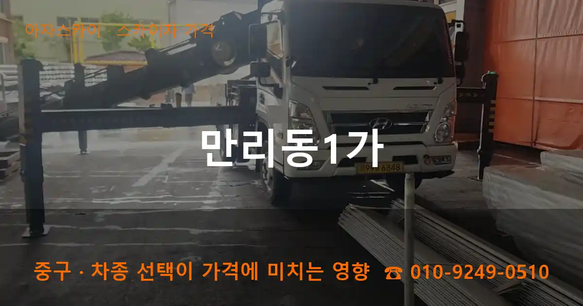중구 만리동1가 스카이차 가격 작업