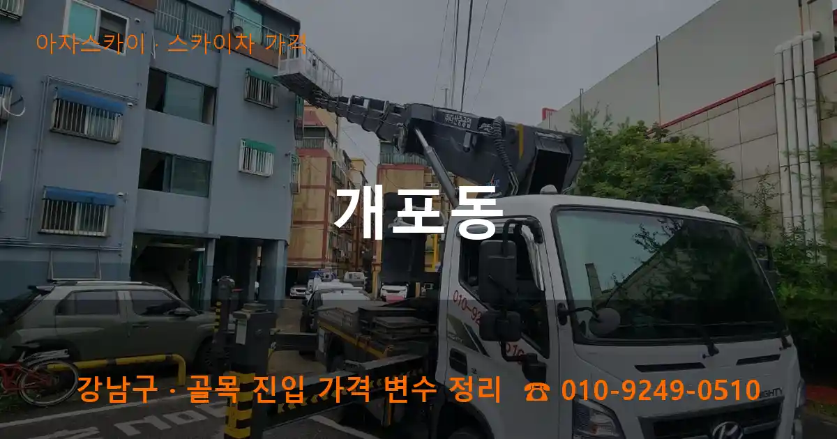 강남구 개포동 스카이차 가격 작업