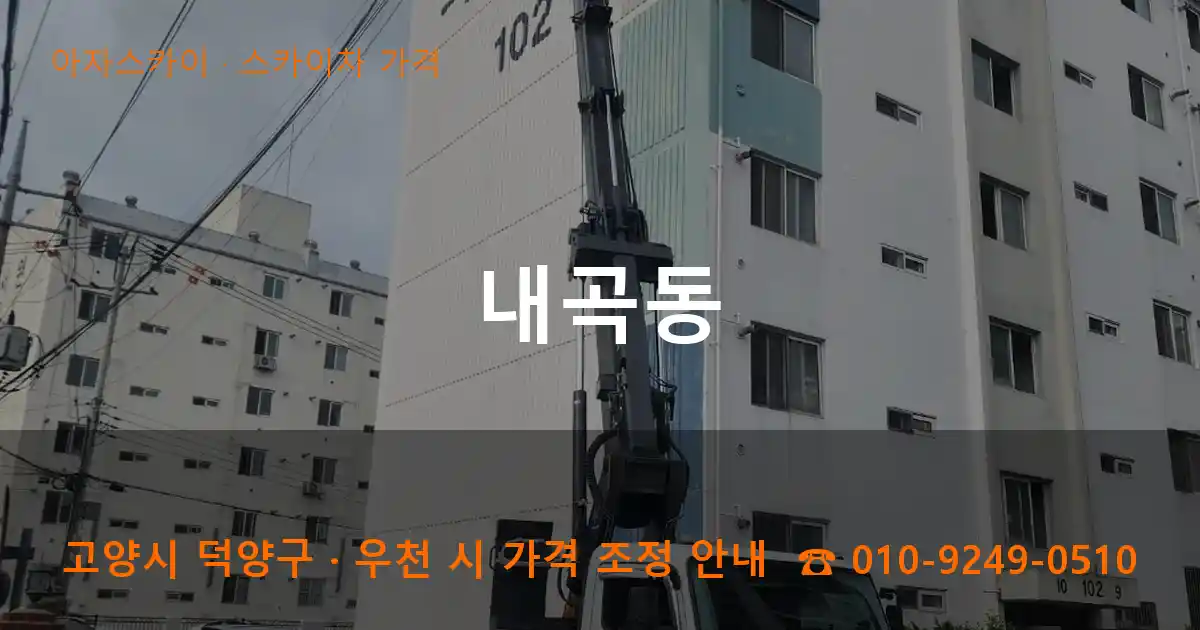 고양 덕양구 내곡동 스카이차 가격 작업