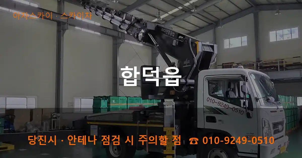 당진시 합덕읍 스카이차 작업