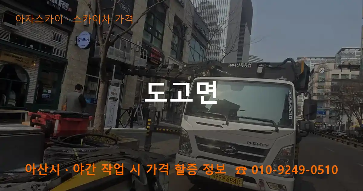 아산시 도고면 스카이차 가격 작업
