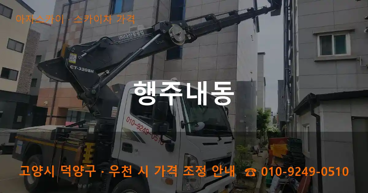 고양 덕양구 행주내동 스카이차 가격 작업