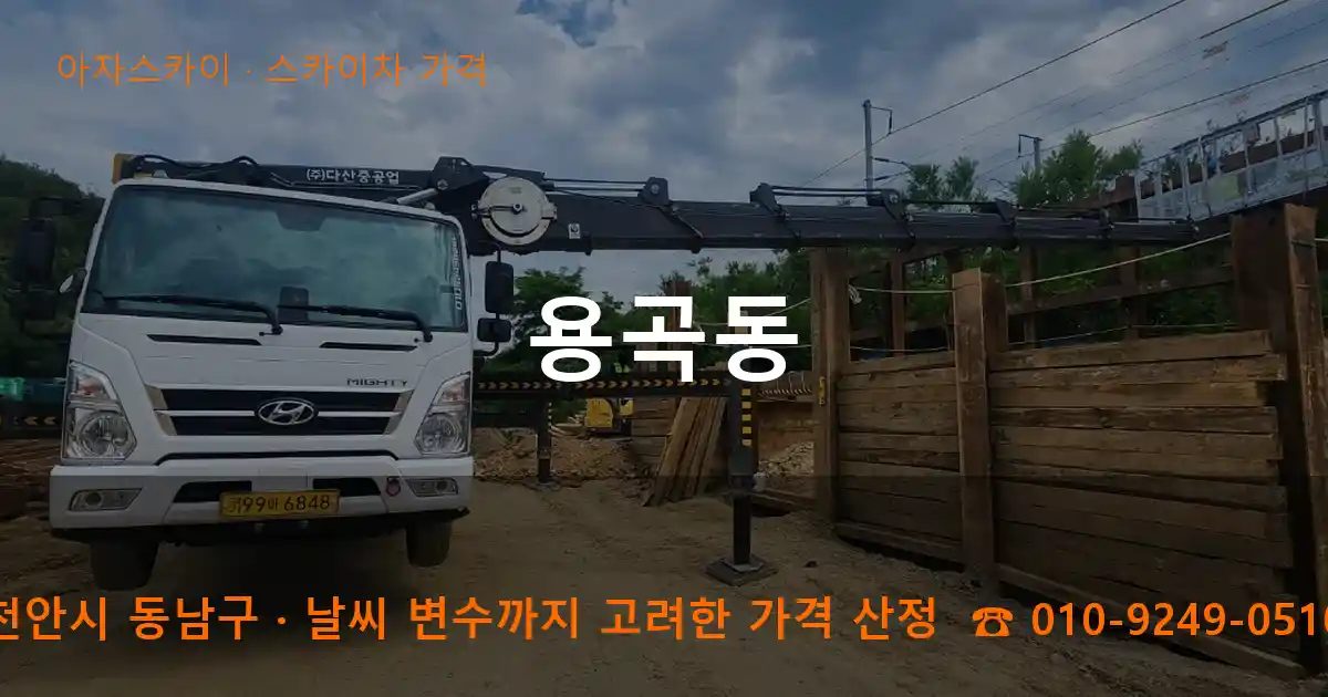 천안시 동남구 용곡동 스카이차 가격 작업