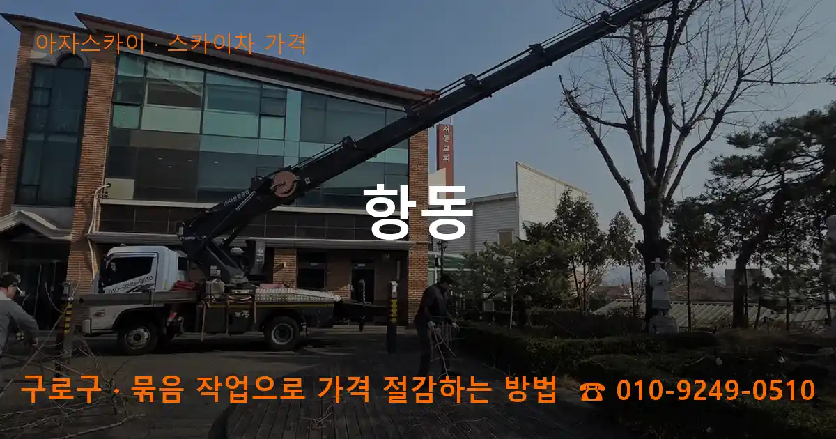 구로구 항동 스카이차 가격 작업