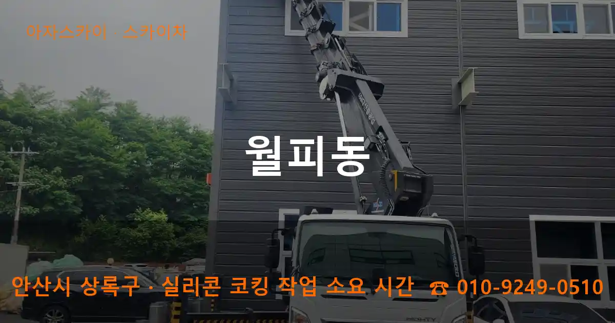 안산시 상록구 월피동 스카이차 작업
