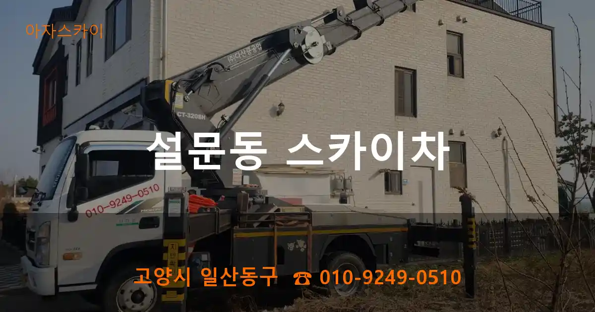 고양시 일산동구 설문동 스카이차