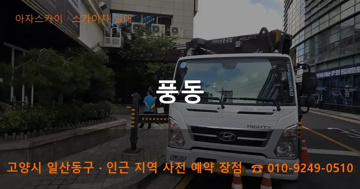 고양시 일산동구 풍동 스카이차 출장 작업