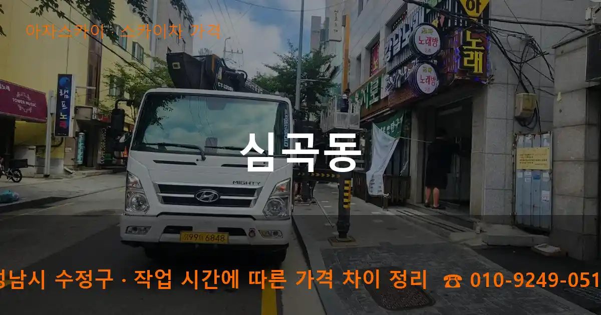 성남시 수정구 심곡동 스카이차 가격 작업