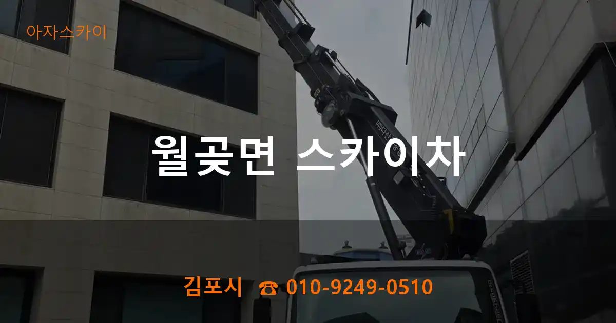 김포시 월곶면 스카이차