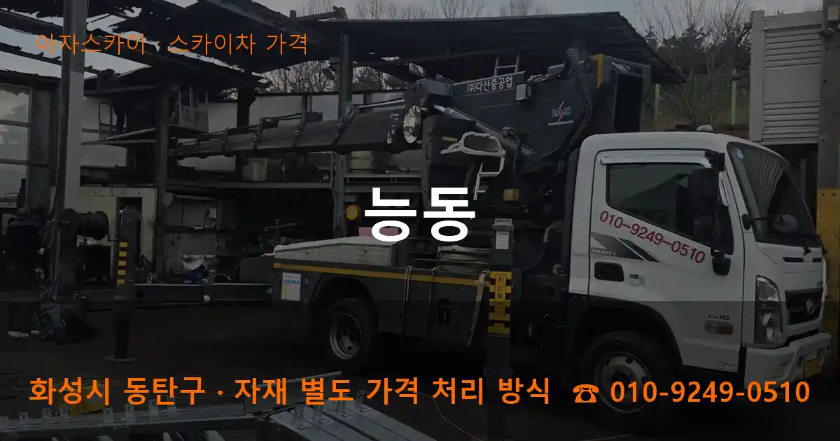 화성 동탄구 능동 스카이차 가격 작업