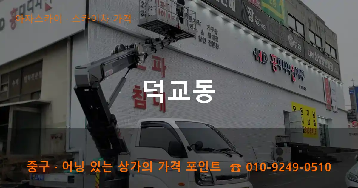 중구 덕교동 스카이차 가격 작업