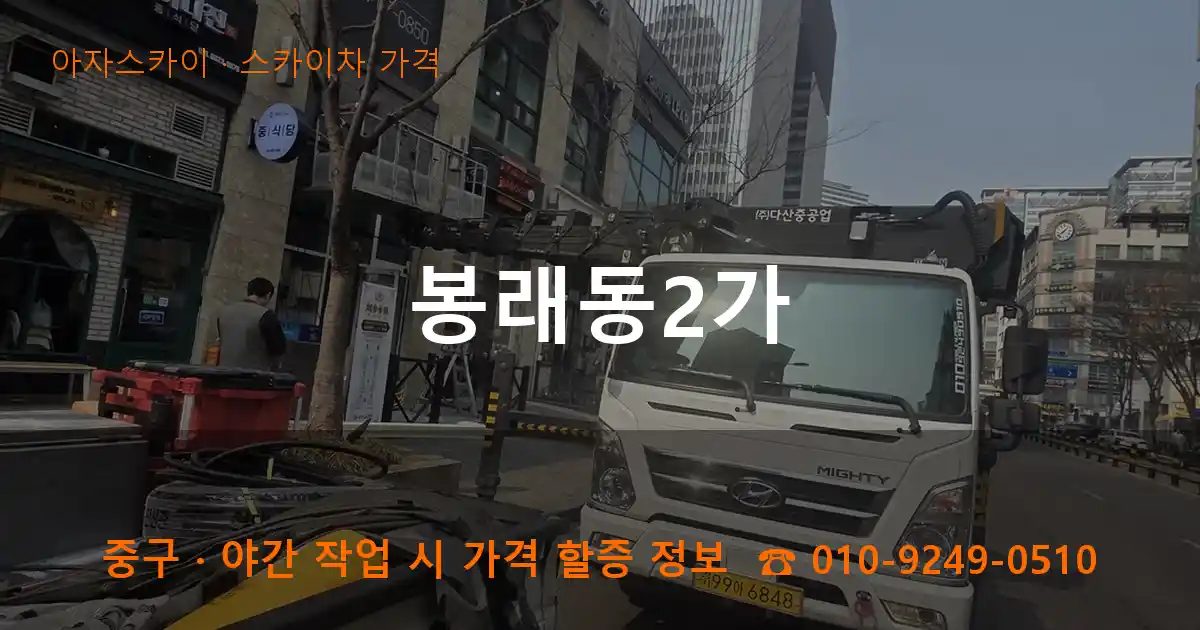 중구 봉래동2가 스카이차 가격 작업