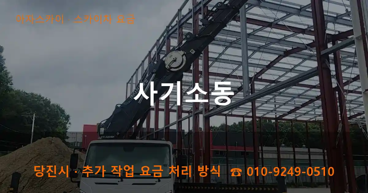 당진 사기소동 스카이차 요금 작업