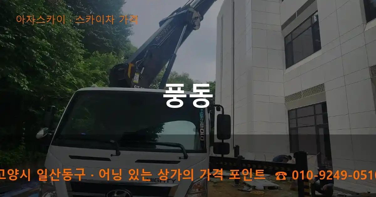 고양시 일산동구 풍동 스카이차 가격 작업