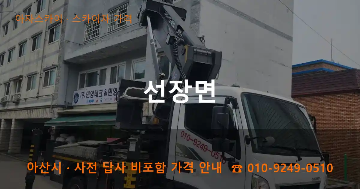 아산 선장면 스카이차 가격 작업