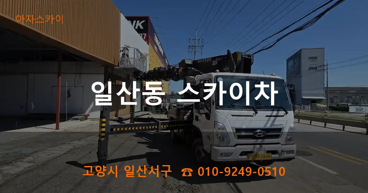 고양시 일산서구 일산동 스카이차