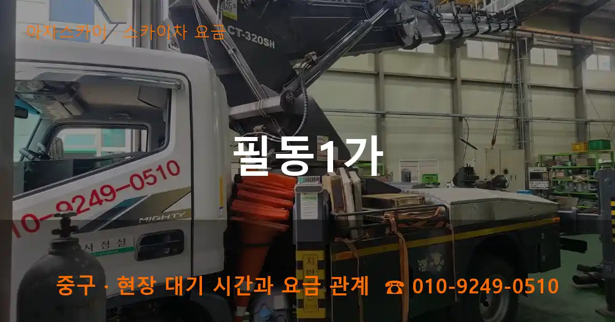 중구 필동1가 스카이차 요금 작업