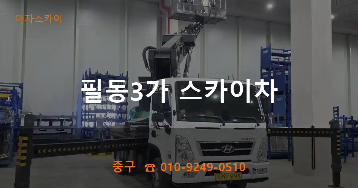 중구 필동3가 스카이차