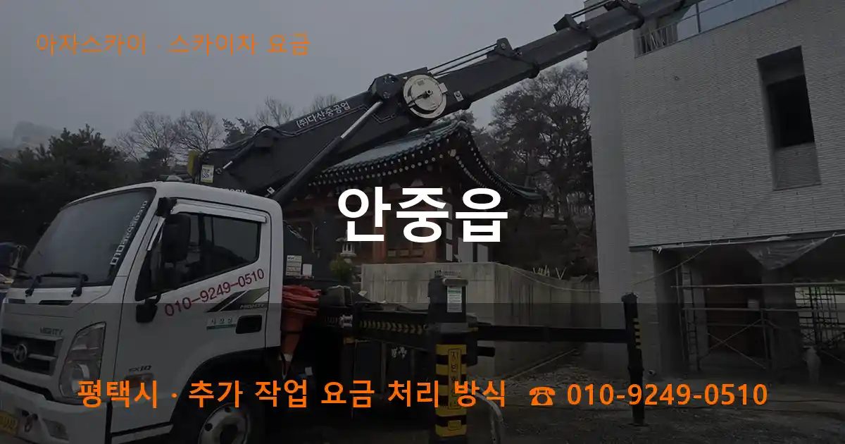 평택시 안중읍 스카이차 요금 작업